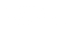 Metric Maverick logo
